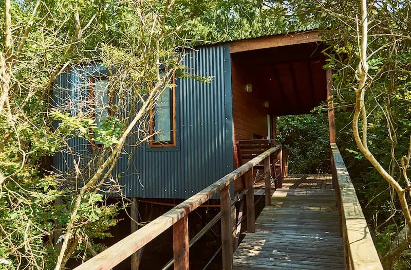 Pasarela de madera hacia la Cabaña del Bosque entre los árboles