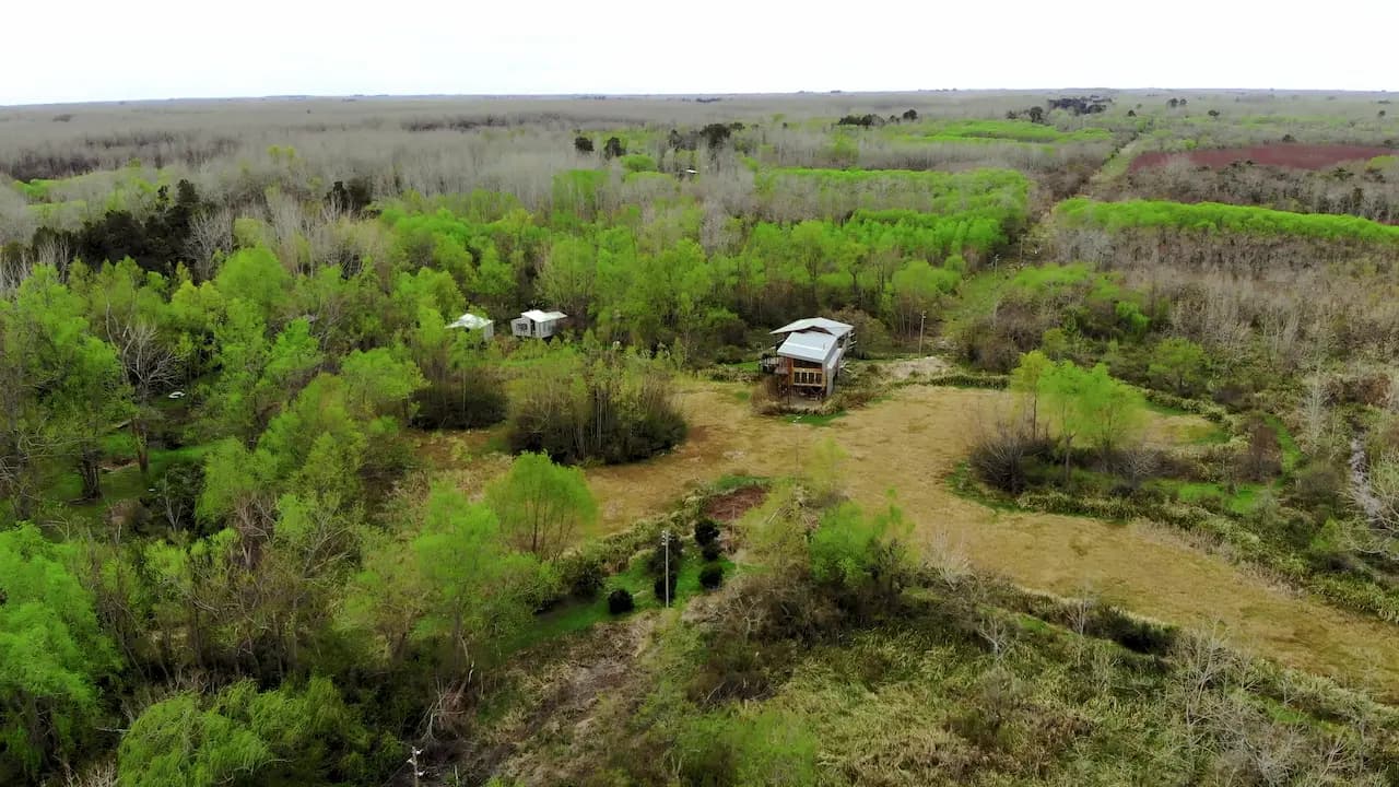 Pasarelas de madera sobre los humedales de El Pantano